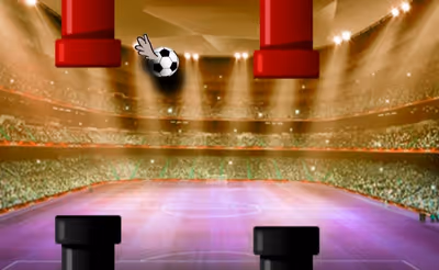 Football Flap Flap