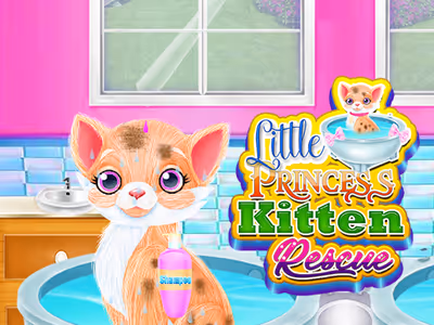 Little Princess Kitten Rescue