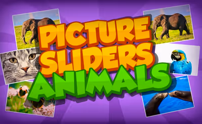 Picture Sliders Animals