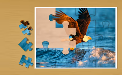 Animals Jigsaw Puzzle Eagle