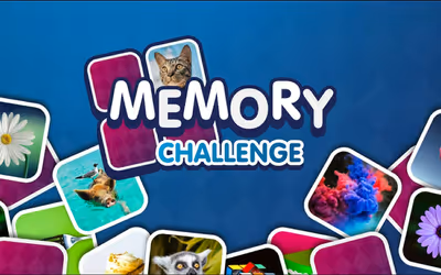Memory Challenge