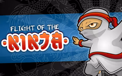 Flight of the Ninja