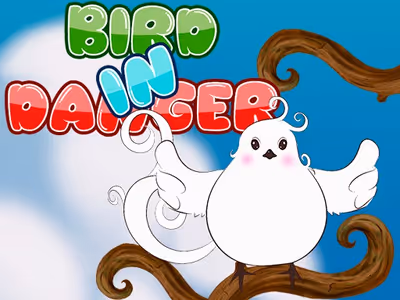 Bird in danger