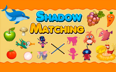 Shadow Matching