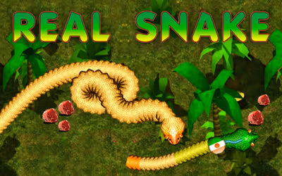 Real Snakes