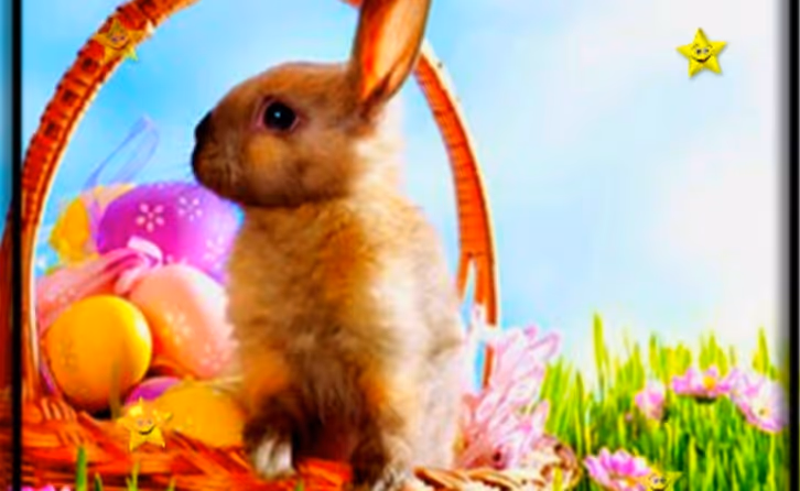 Easter Time Hidden Stars
