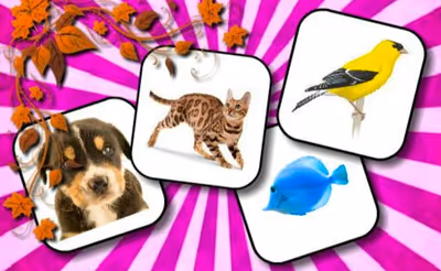Animals Memory Game