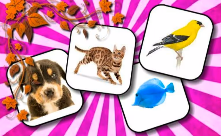 Animals Memory Game