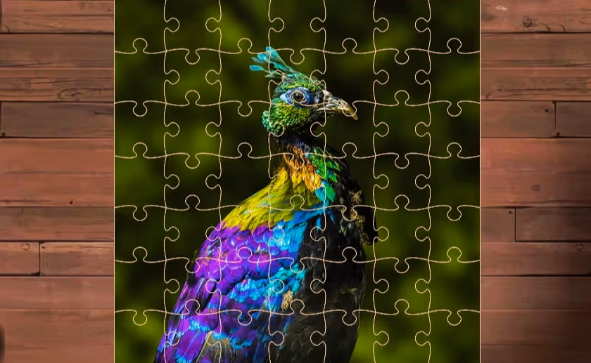 Exotic Animals Jigsaw