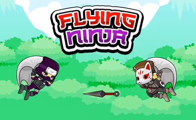 Flying Ninja