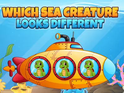 Which Sea Creature Looks Different