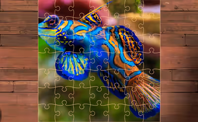 Exotic Sea Animals Jigsaw