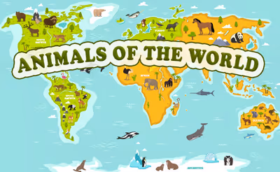 Animals of the World