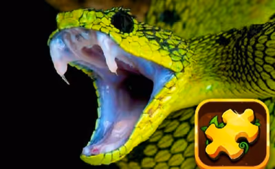 Snake Puzzle Challenge