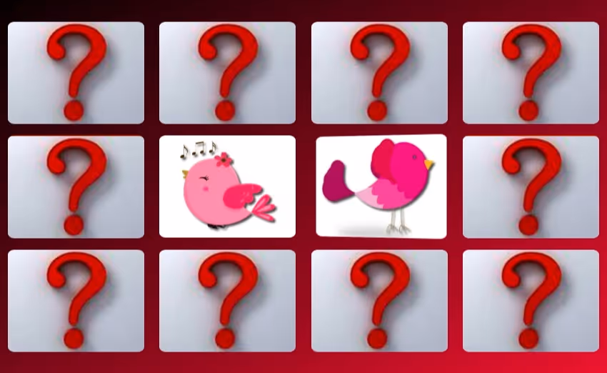 Cute Birds Memory