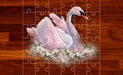 Love Birds Puzzle