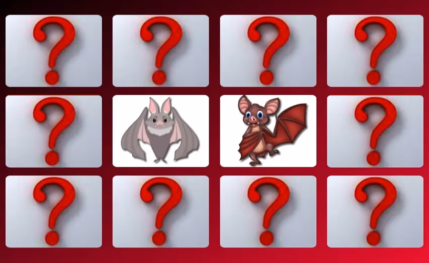 Cute Bat Memory