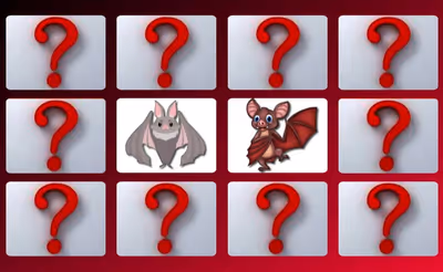 Cute Bat Memory