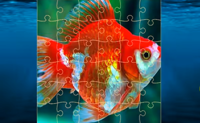 Gold Fish Jigsaw Puzzles