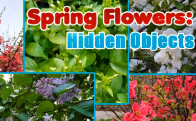 Spring Flowers: Hidden Objects