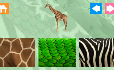 Animal Skins