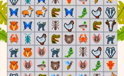 Onet Animals