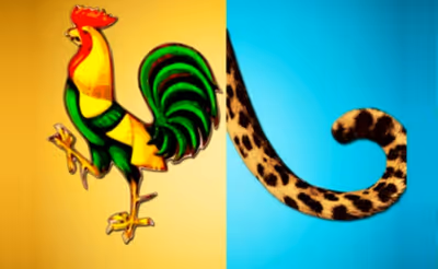 2 pics 1 word