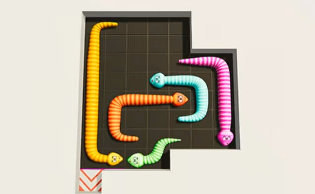 Snake Puzzle