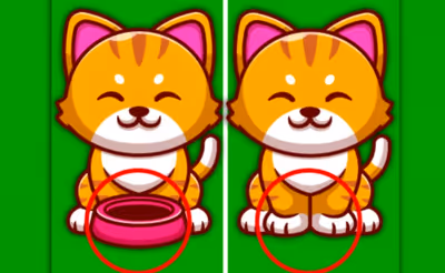 Find The Difference Animal