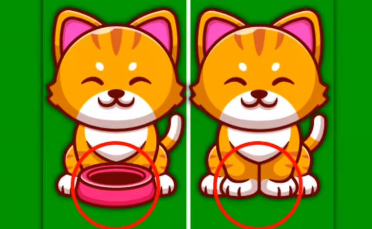 Find The Difference Animal
