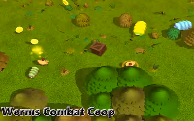 Worms Combat Coop