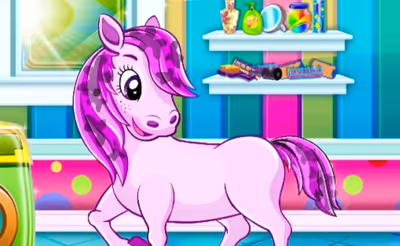 Pony Pet Salon