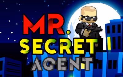 Mr. Secret Agent
