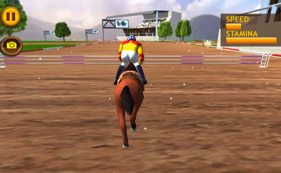 Jumping Horses Champions