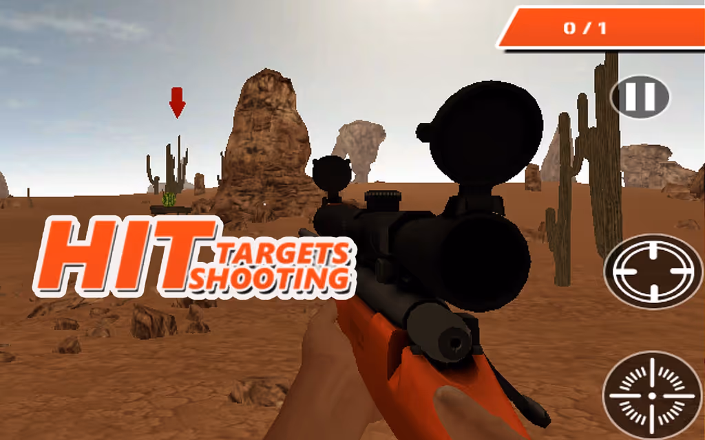 Hit Targets Shooting