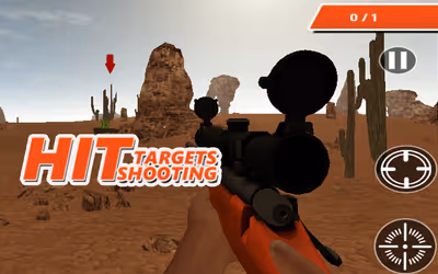 Hit Targets Shooting