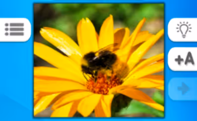Photo Quiz