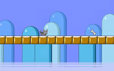 Mr Jump Husky