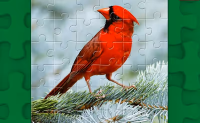 Birds Puzzle