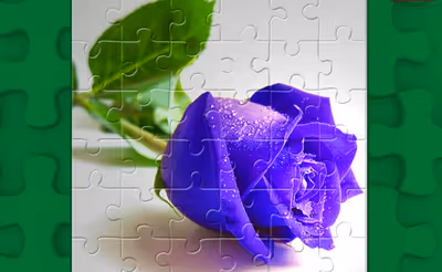 Blue Roses Puzzle