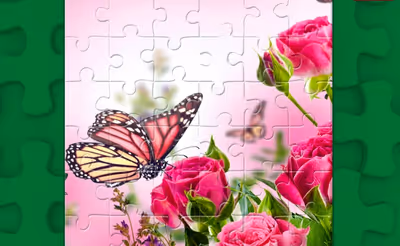 Butterflies Puzzle