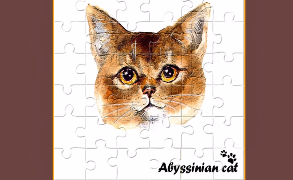 Abyssinian Puzzle Challenge
