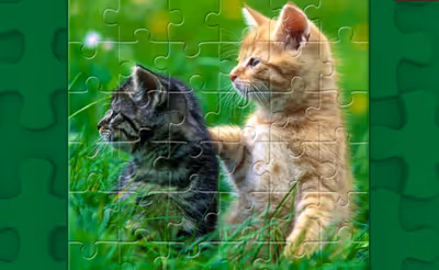 Funny Kitty Puzzle