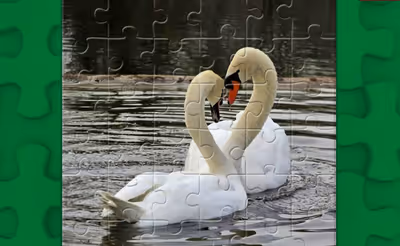 Graceful Swans Puzzle