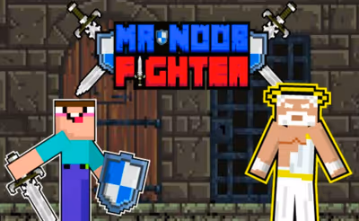Mr Noob Fighter