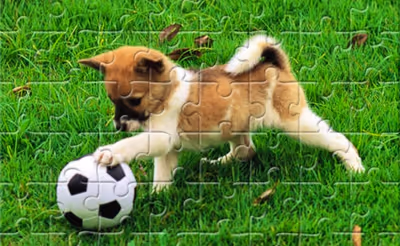 Playful Puppy Outdoor Puzzle