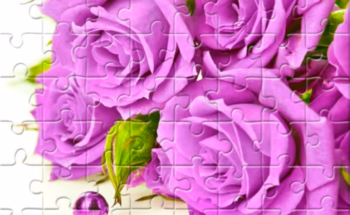 Purple Roses Puzzle