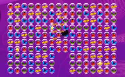 Flies In Bubbles