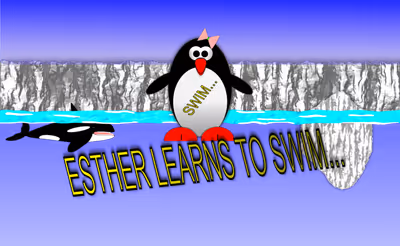 Esther the penguin. Learn to swim.