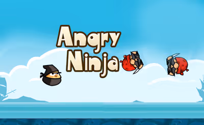 Angry Ninja